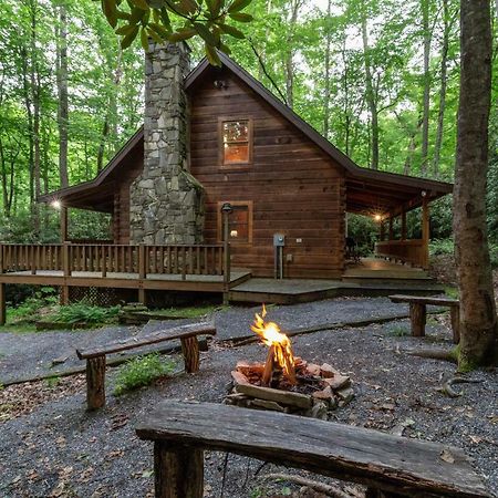 Вілла Creekside Bunkhouse Whittier Екстер'єр фото